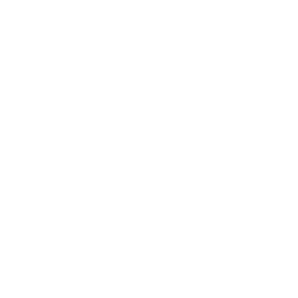 Porcarelli Gino & Co. S.r.l.